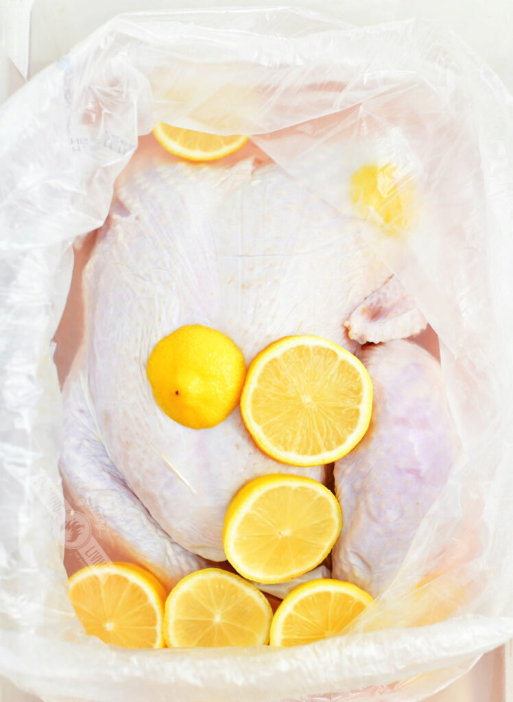 raw turkey in a brining bag with brine and lemon slices