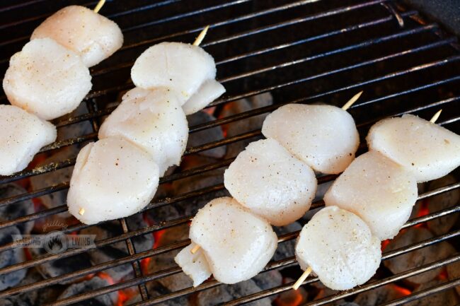 raw scallops on the skewers on the grill