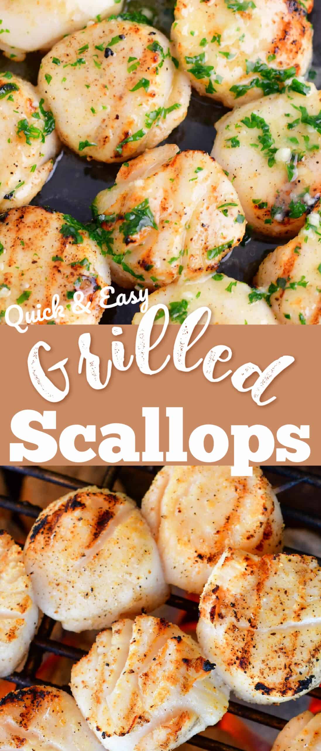 title collage of two photos of grilled scallops up close and title in the middle