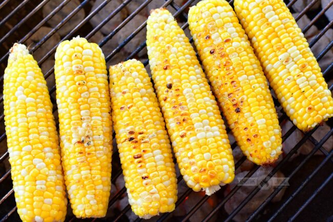 closeup grilled corn on cob on a grill