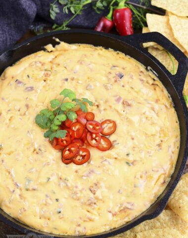 smoked queso dip verticle